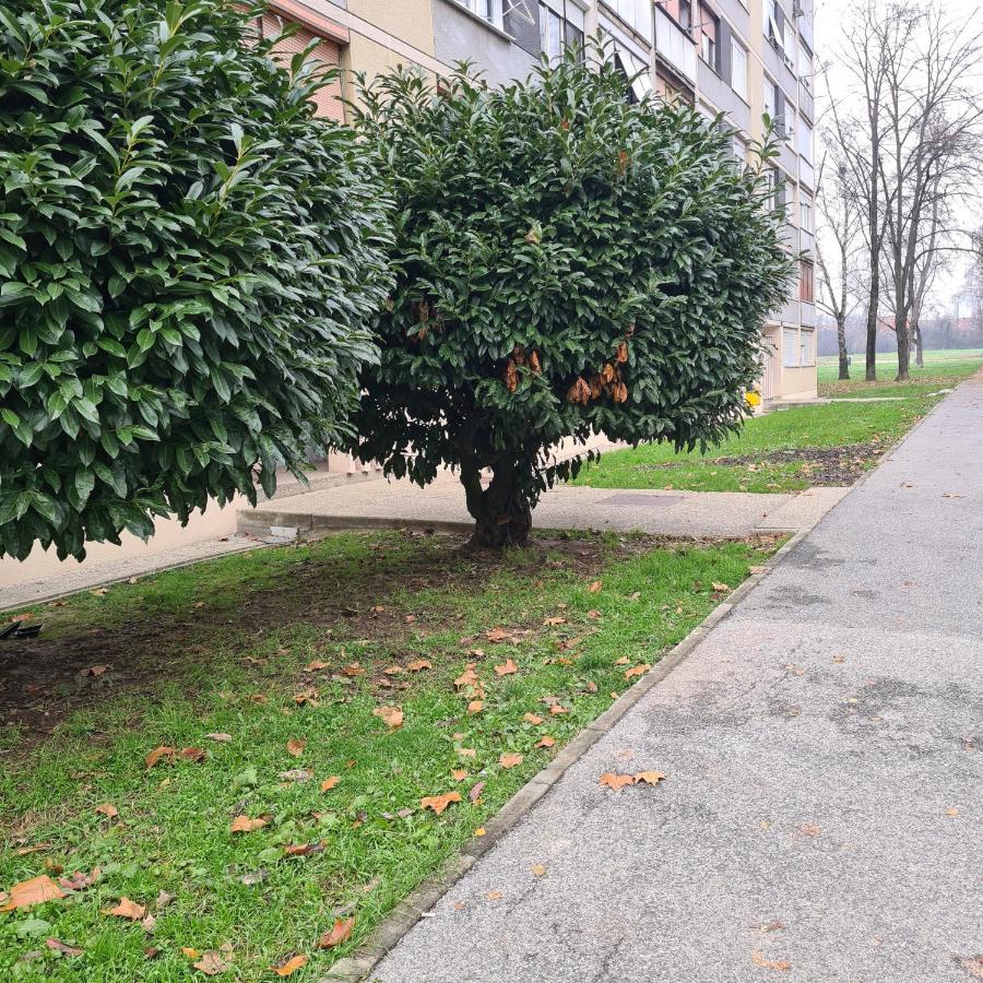 Appartamento Cataleya *