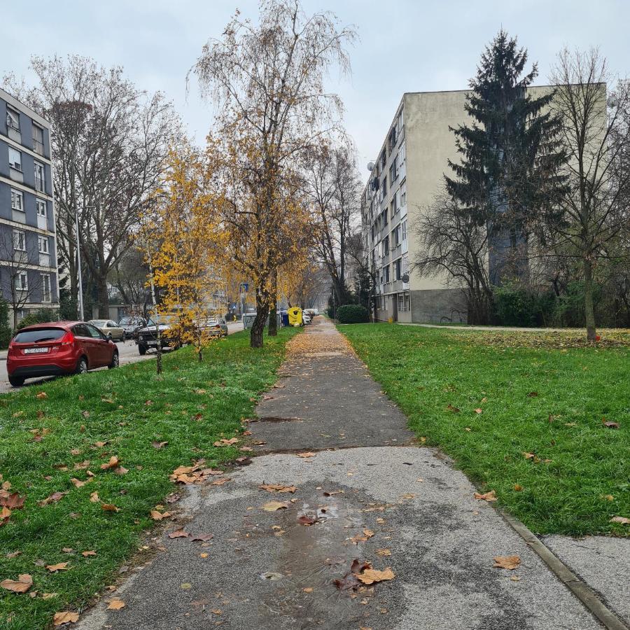 Cataleya * Zagreb
